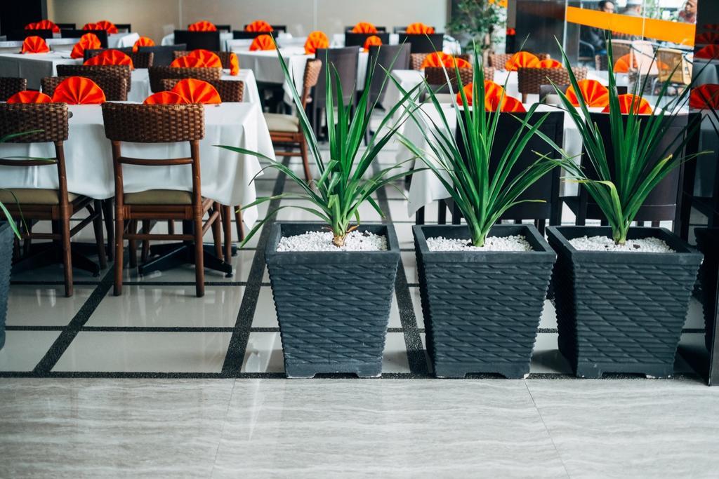 Alpha Hotel Pekanbaru Dış mekan fotoğraf